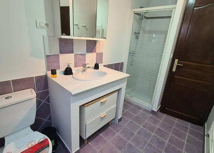 Duplex De Prestige * 트루아